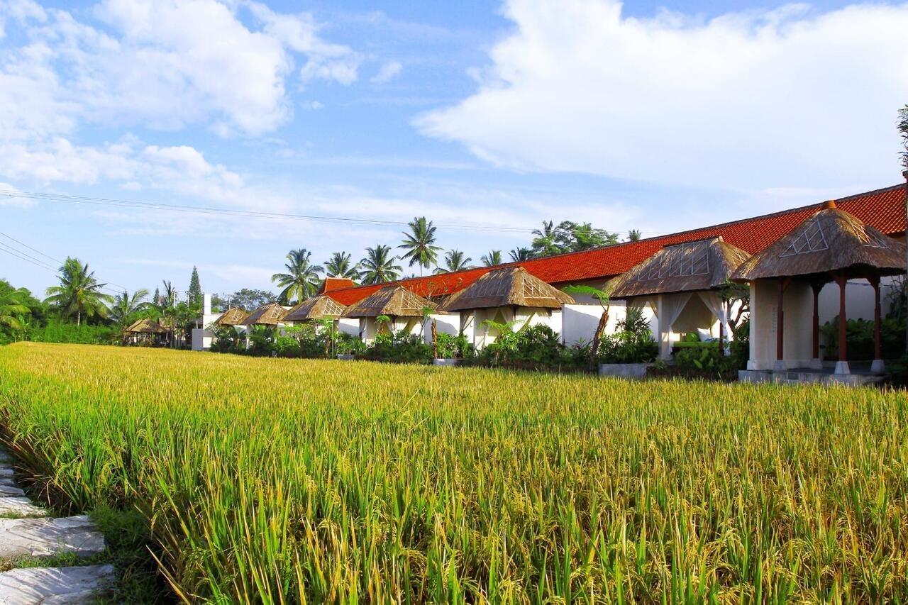 Alam Puisi Villa Ubud Zewnętrze zdjęcie