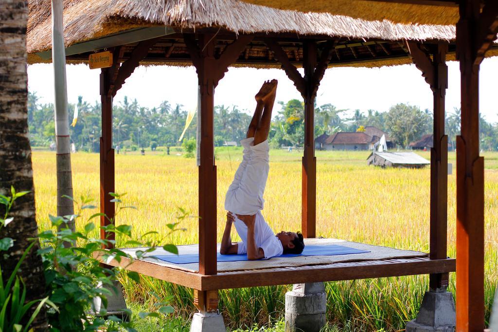 Alam Puisi Villa Ubud Zewnętrze zdjęcie